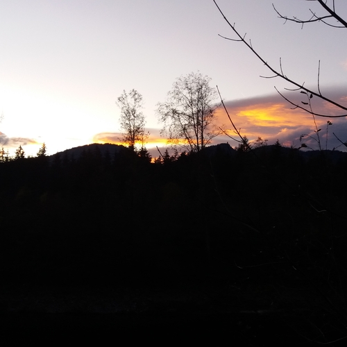 Hundetreffen 2018 im Allgäu (6)